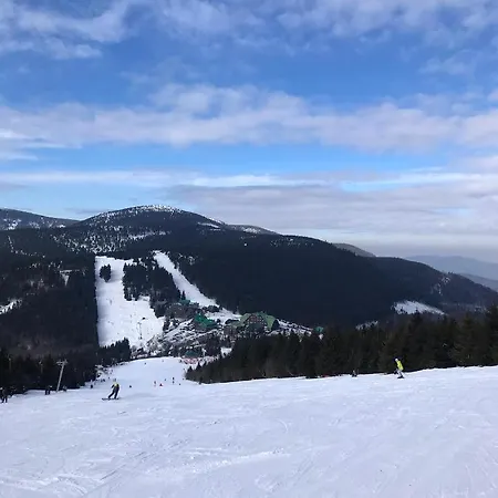 Kocianka *