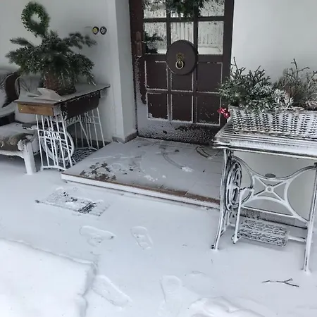 Kocianka Guest house *